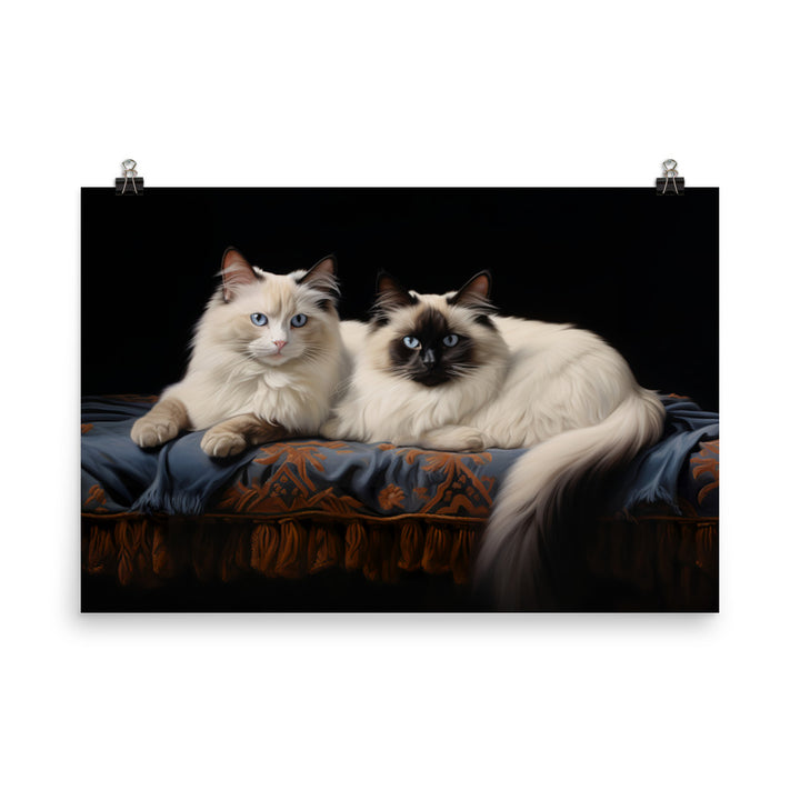 Birman Photo paper poster - PosterfyAI.com