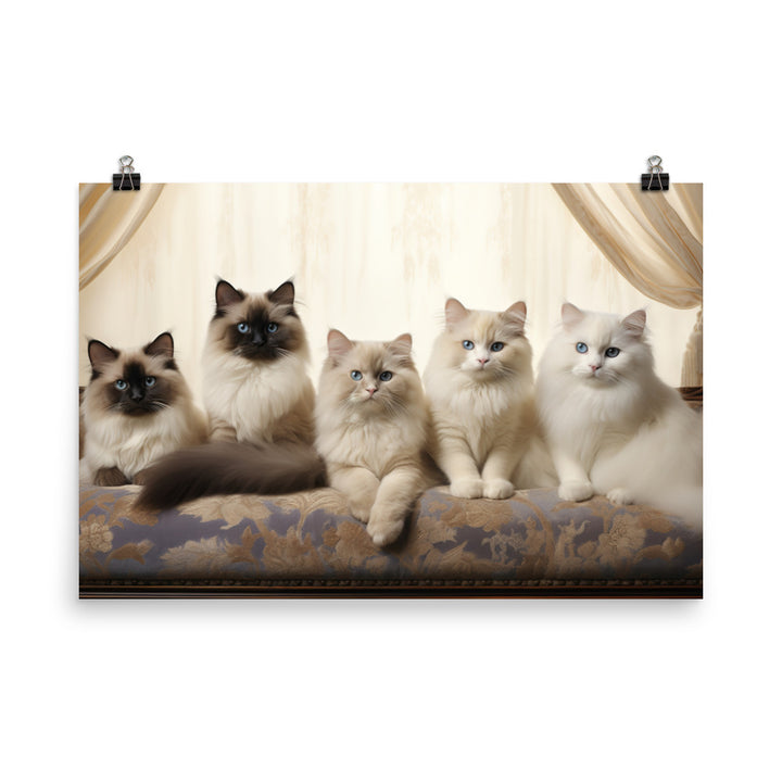 Birman Photo paper poster - PosterfyAI.com