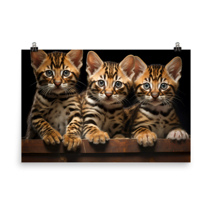 Bengal Photo paper poster - PosterfyAI.com