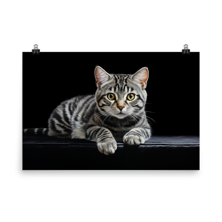 American Shorthair Photo paper poster - PosterfyAI.com