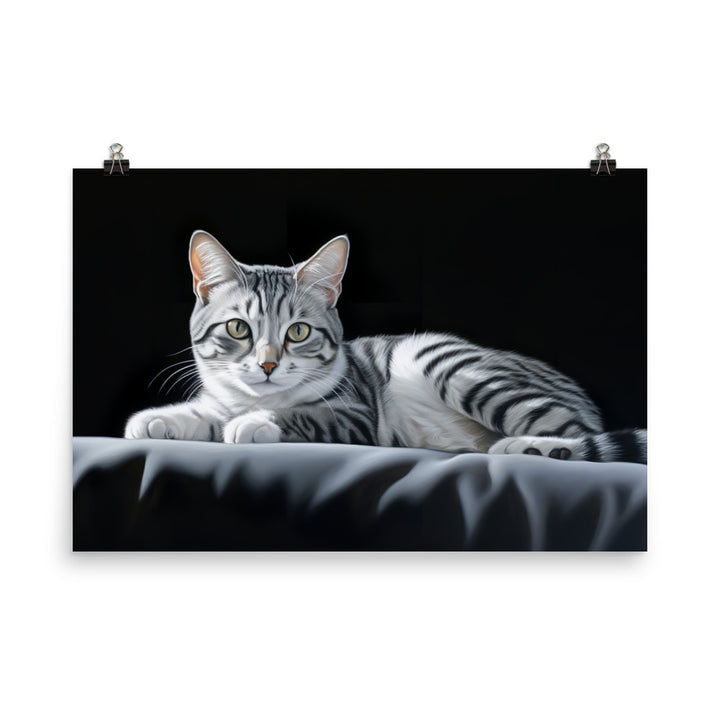 American Shorthair Photo paper poster - PosterfyAI.com