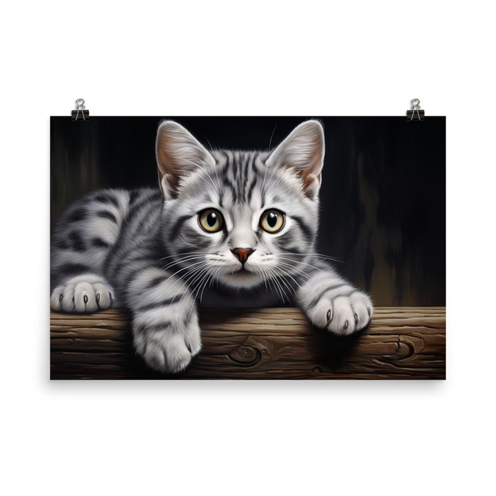 American Shorthair Photo paper poster - PosterfyAI.com