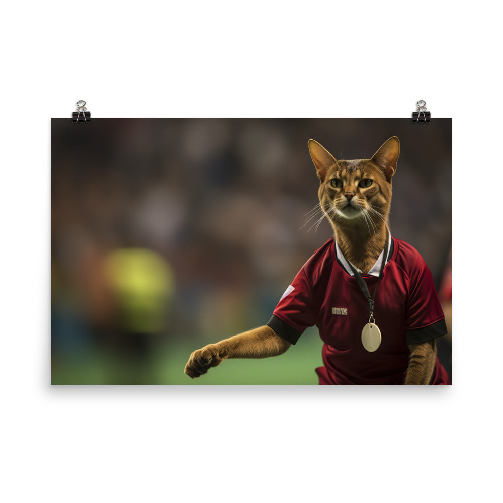 Abyssinian Referee Photo paper poster - PosterfyAI.com