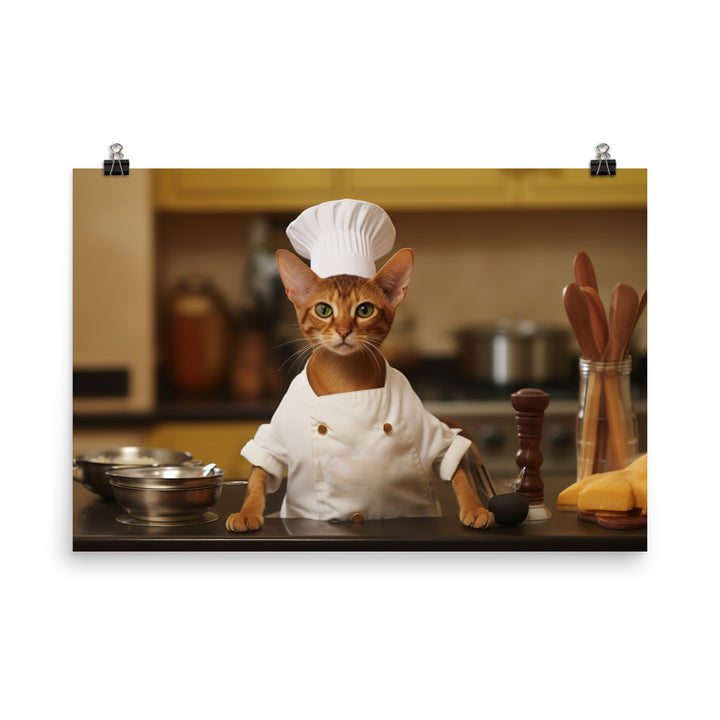 Abyssinian Chef Photo paper poster - PosterfyAI.com