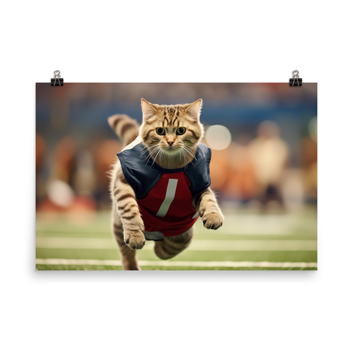 Scottish Fold Football Player Photo paper poster - PosterfyAI.com