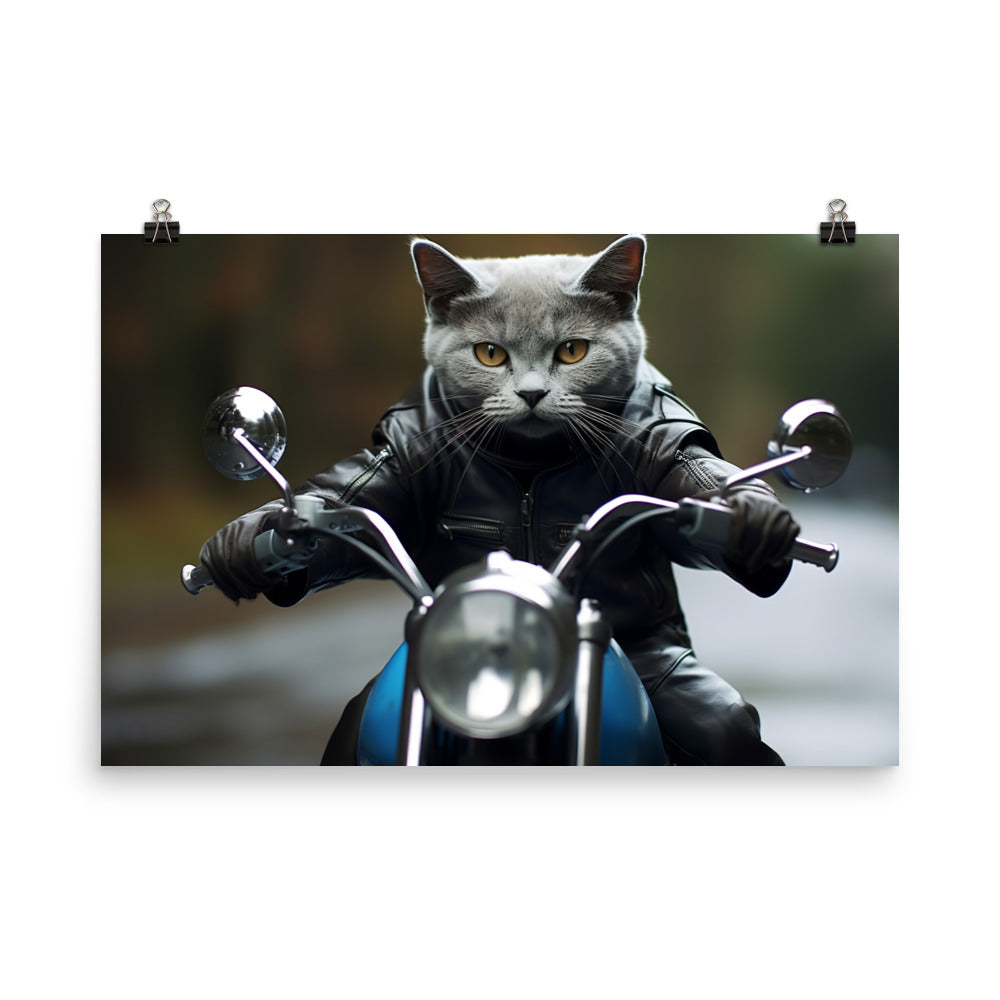 Russian Blue Superbike Athlete Photo paper poster - PosterfyAI.com