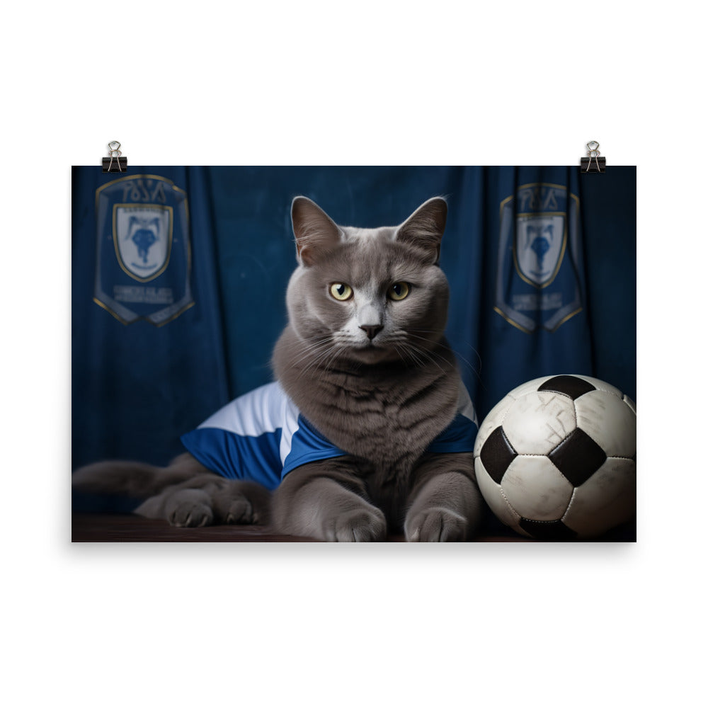 Russian Blue Football Player Photo paper poster - PosterfyAI.com