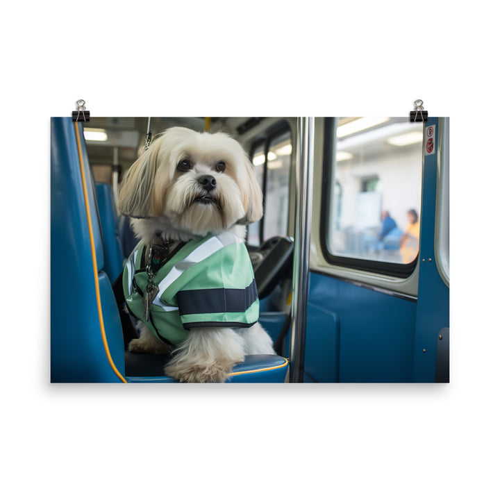 Lhasa Apso Transit Operator Photo paper poster - PosterfyAI.com