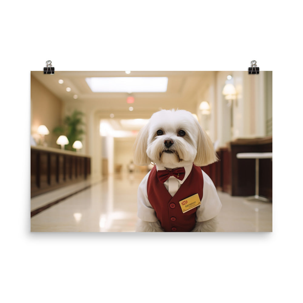 Lhasa Apso Hotel Staff Photo paper poster - PosterfyAI.com