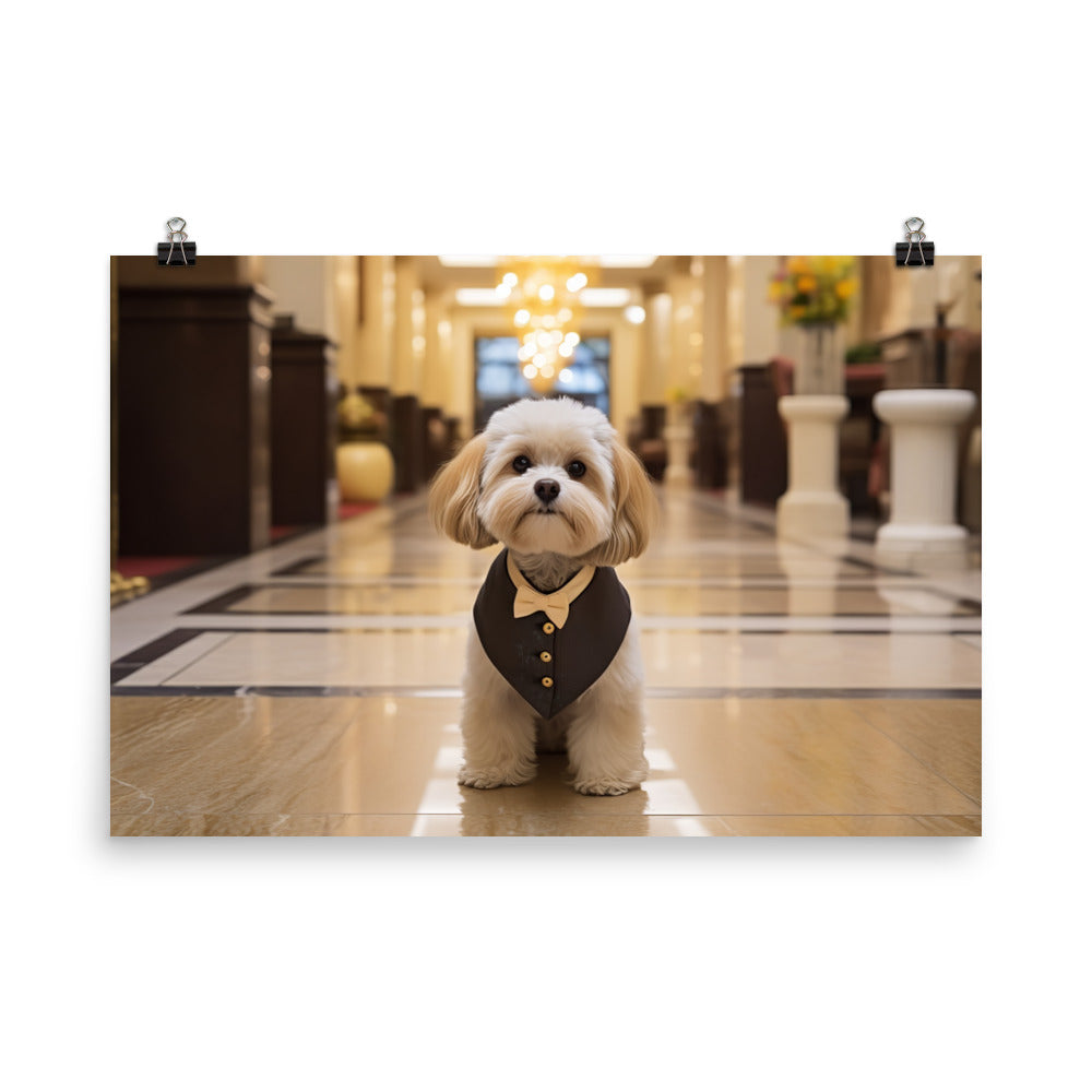 Lhasa Apso Hotel Staff Photo paper poster - PosterfyAI.com