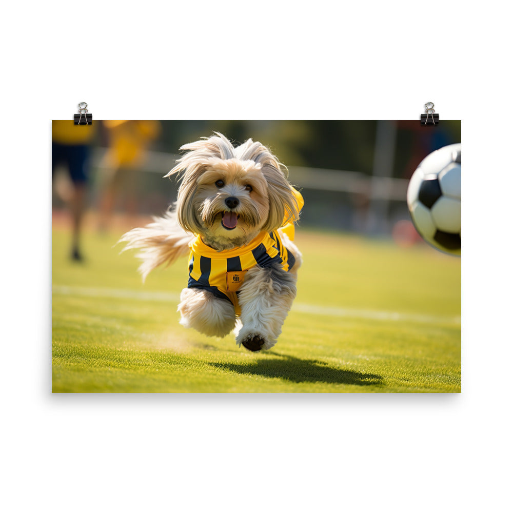 Lhasa Apso Football Player Photo paper poster - PosterfyAI.com