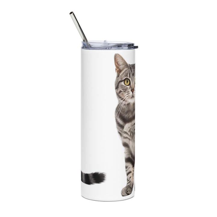 American Shorthair Tumbler