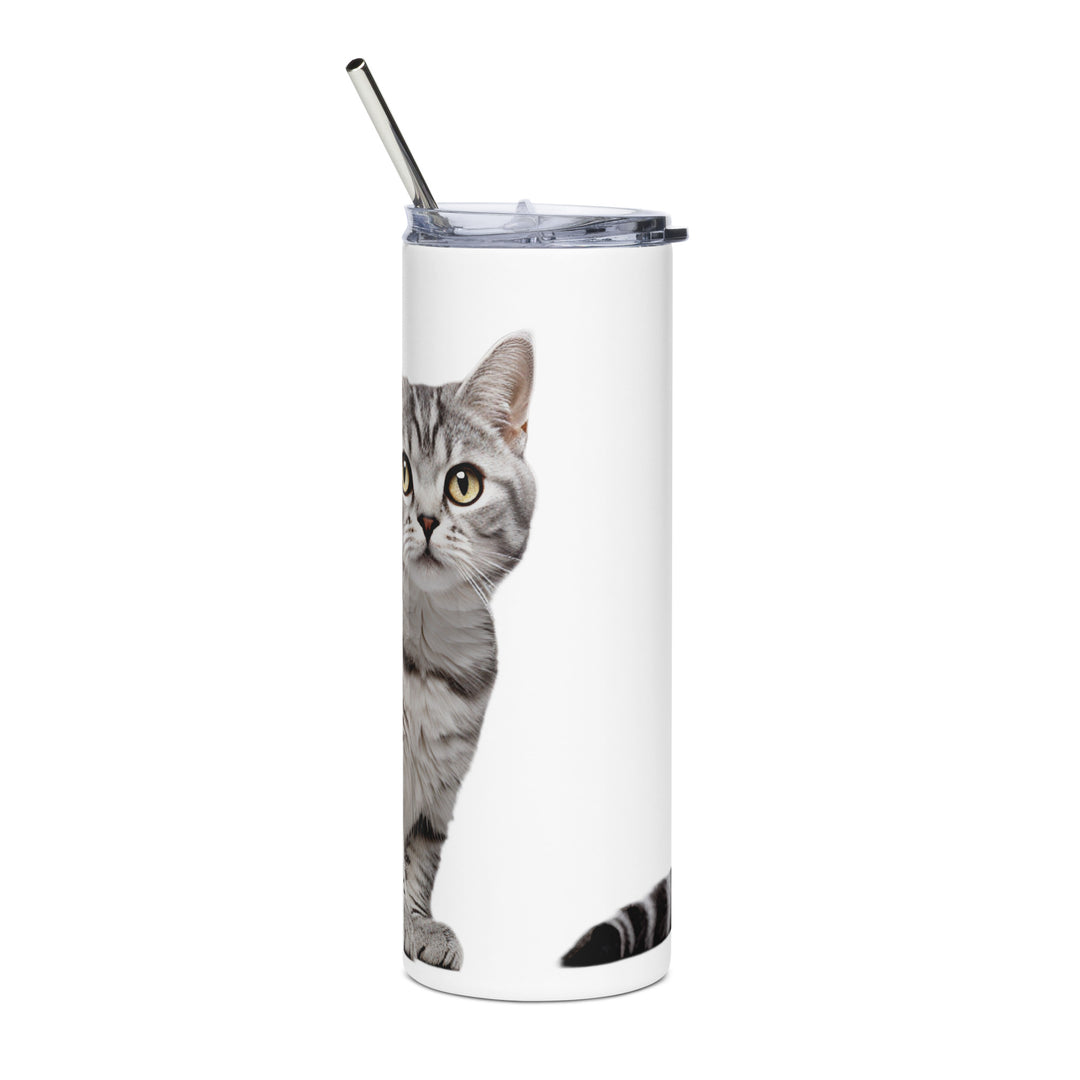 American Shorthair Tumbler