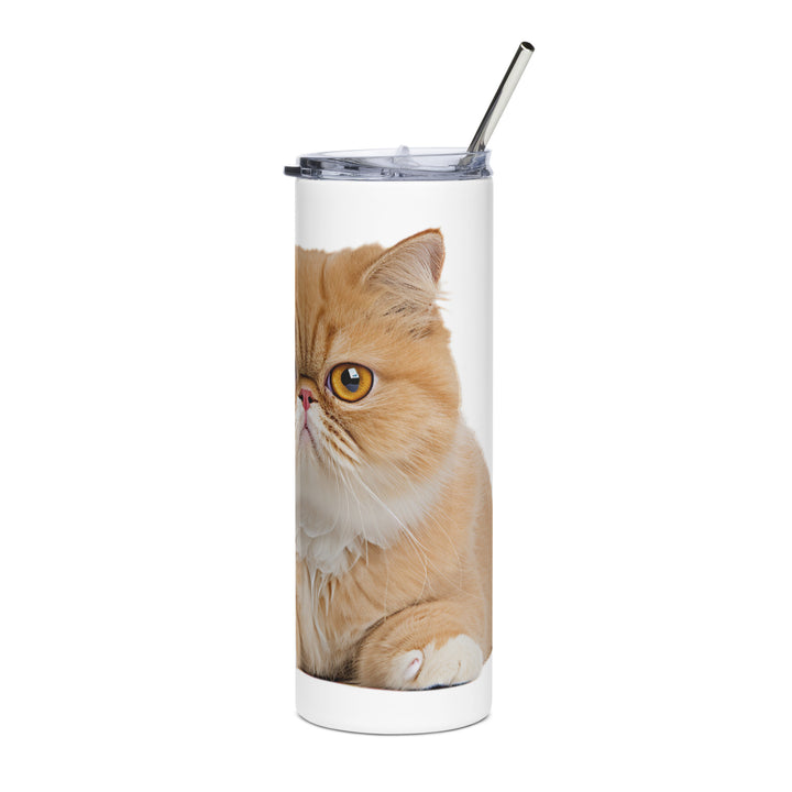 Exotic Shorthair Tumbler