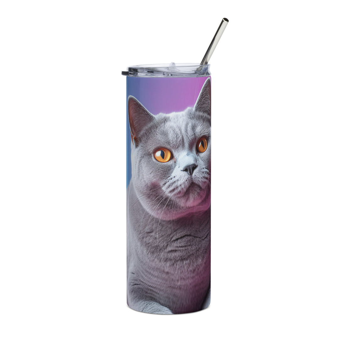 British Shorthair Tumbler