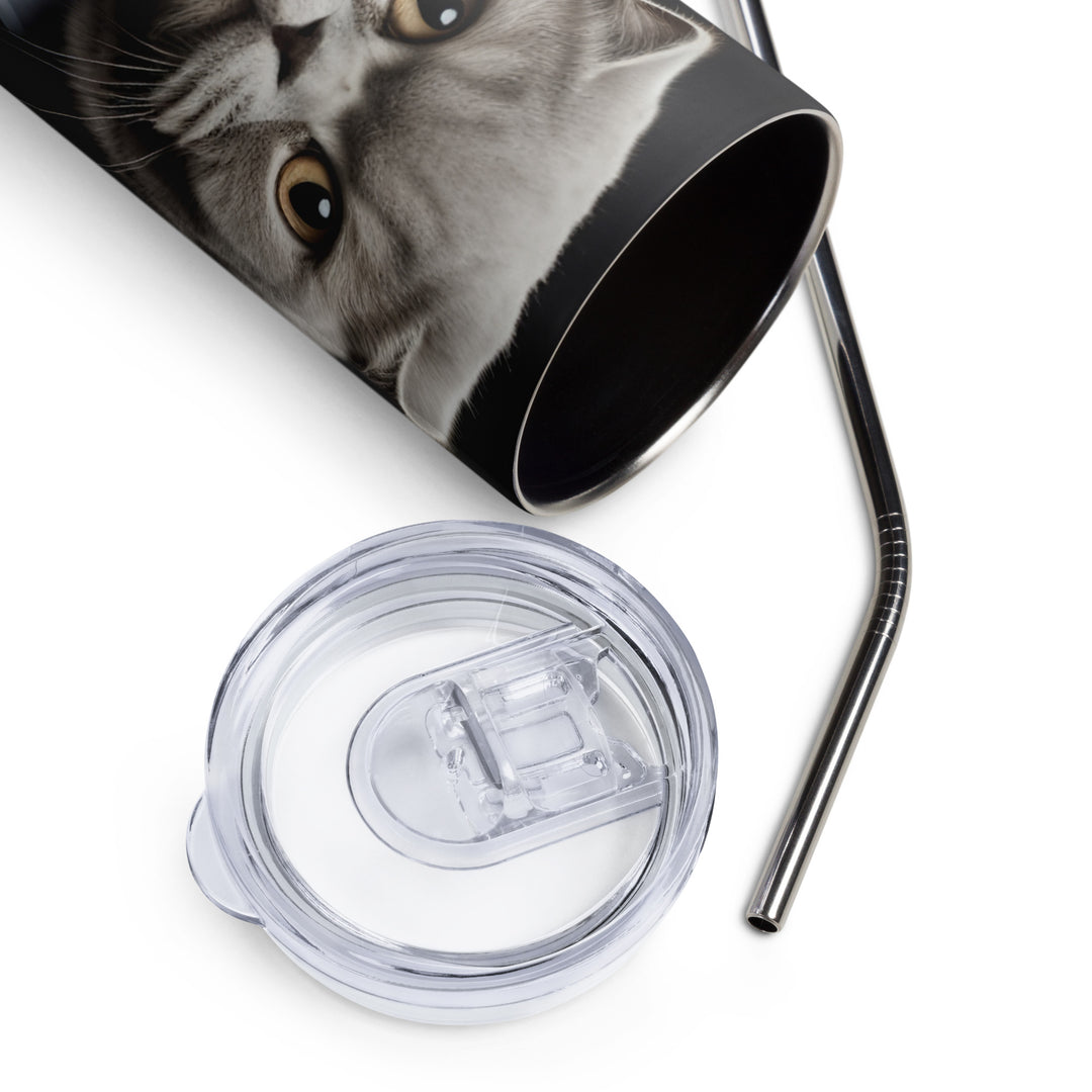 Scottish Fold Tumbler