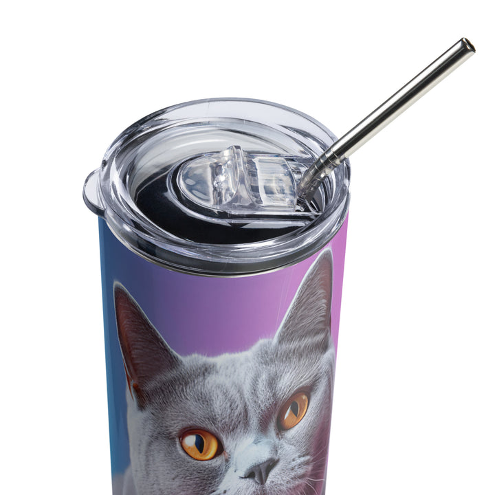 British Shorthair Tumbler